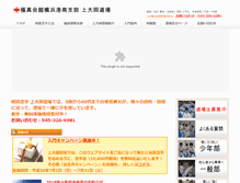 Tablet Screenshot of kyokushin-kamiooka.com